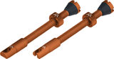 Peaty's Chris King Edition MK2 Tubeless Valve 2-Pack Set