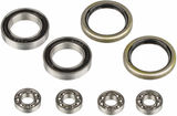 Syntace Spare Bearing Kit for NumberNine Titanium WDR