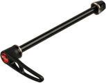 DT Swiss RWS Nabenschnellspanner MTB Alu Thru Bolt