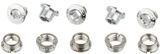Campagnolo Chainring Bolts for Record Pista Models as of 2001