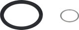 Zipp Freilaufdichtung für 177 / 177D Naben