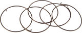 Fulcrum Sperrklinkenfedern 5-R1-015 für RR Freilaufkörper