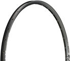 DT Swiss X 412 Disc 29" Felge