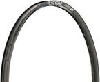 DT Swiss H 552 Disc 29" Rim