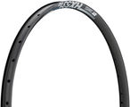 DT Swiss HX 531 Disc 29" Rim