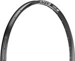 DT Swiss E 532 Disc 29" Rim