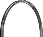 DT Swiss M 502 Disc 29" Rim