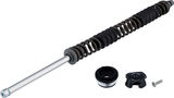 RockShox Spare Coil for XC 30 26" 100 mm Models as of 2012