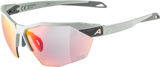Alpina Lunettes de Sport Twist Six HR QV