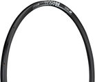 DT Swiss R 460 Disc Road Rim