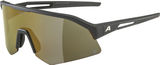 Alpina Lunettes de Sport Sonic HR Q