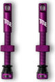 Title MTB Tubeless Ventil-Set