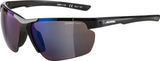 Alpina Lunettes de Sport Defey HR