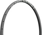 NEWMEN Advanced SL X.A.25 Disc 29" Carbon Rim