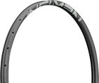 NEWMEN Advanced SL X.A.30 Disc 29" Carbon Rim