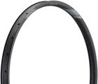 NEWMEN Evolution SL E.G.35 Disc 29" Rim