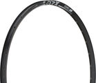 DT Swiss X 432 Disc 29" Rim