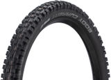 Schwalbe Eddy Current Rear Evolution ADDIX Soft Super Gravity 29+ Fold. Tyre