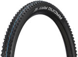 Schwalbe Racing Ray Evolution ADDIX SpeedGrip Super Ground 29" Folding Tyre