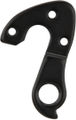 FOCUS Derailleur Hanger for Cayo