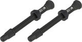 Fulcrum Kit de válvulas Road Tubeless para llantas simétricas