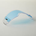 Fox Head Ersatzglas Dual Pane für Vue Goggle