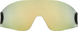 Alpina Ersatzglas für 5W1NG Sportbrille