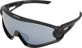 Alpina 5W1NG Sportbrille