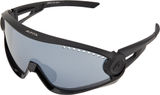 Alpina Gafas deportivas 5W1NG