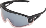 Alpina 5W1NG Sports Glasses