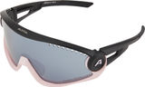 Alpina 5W1NG Sportbrille