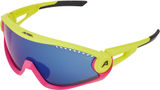 Alpina 5W1NG Sportbrille