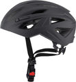 Alpina Path Helm