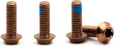 OAK Components Juego de tornillos para portabidones M5x15 Titanio