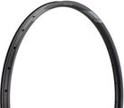 NEWMEN Evolution SL E.G.30 Disc 29" Felge