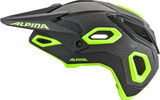 Alpina Rootage Helm