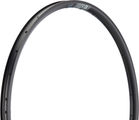 DT Swiss U 623 Disc 29" Hybrid Utility RIm