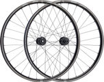 BEAST Components Juego de ruedas TR30 Disc 6 agujeros Boost Carbon 29"