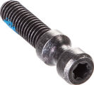 Magura Schnellspanner-Schraube für Evo 2 Torx