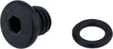 Shimano Entlüftungsschraube mit Dichtung für ST-EF505