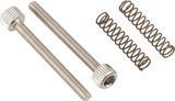 Surly Dropout Bolts for Straggler