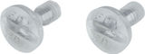 Fox Head Visor Screws for V3 RS