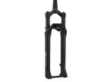 DT Swiss F 232 ONE 29" Boost Crown Adjust Suspension Fork - 2023 Model