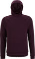 Patagonia Capilene Thermal Fleece Hoodie