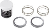 DT Swiss Kit de actualización 90T para bujes traseros
