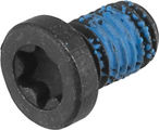 Magura Hebelweiteneinstellschraube für HS 33 R