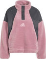 adidas Outdoor TERREX Xploric Half-Zip Snap Fleece Damen Pullover