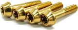 77designz Brake lever clamp bolts for Hayes Dominion