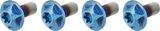 SILCA Titanium Bottle Cage Bolts Torx
