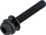 Shimano Vis de Fixation Arr. Type C2 pour Flat Mount BR-R8170 / BR-R7170